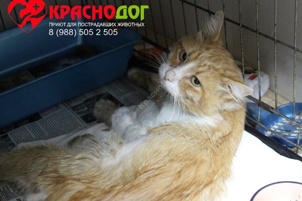 Вход на кракен зеркало