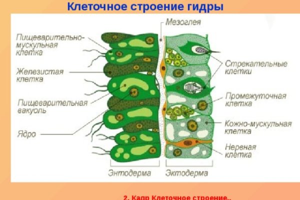 Кракен как зайти