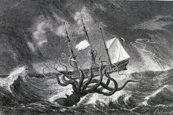 Kraken рабочий