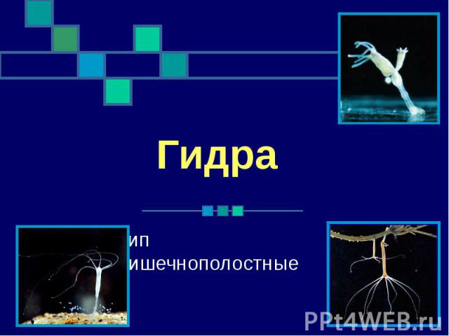 Кракен площадка нарко