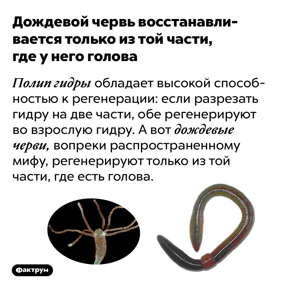 Кракен упал