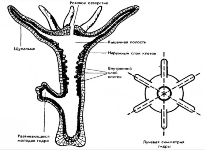 Kra26.cc